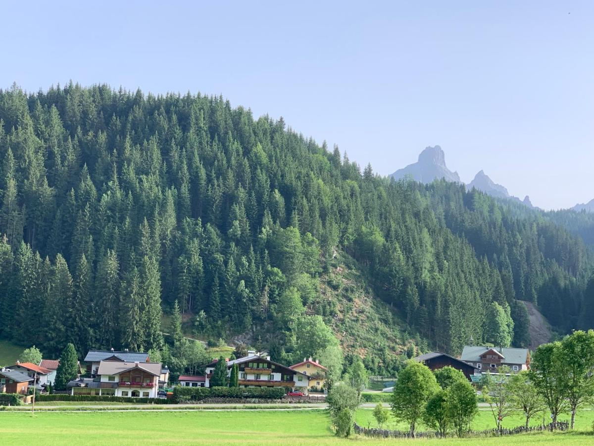Die Filzmooserin Apartments 外观 照片